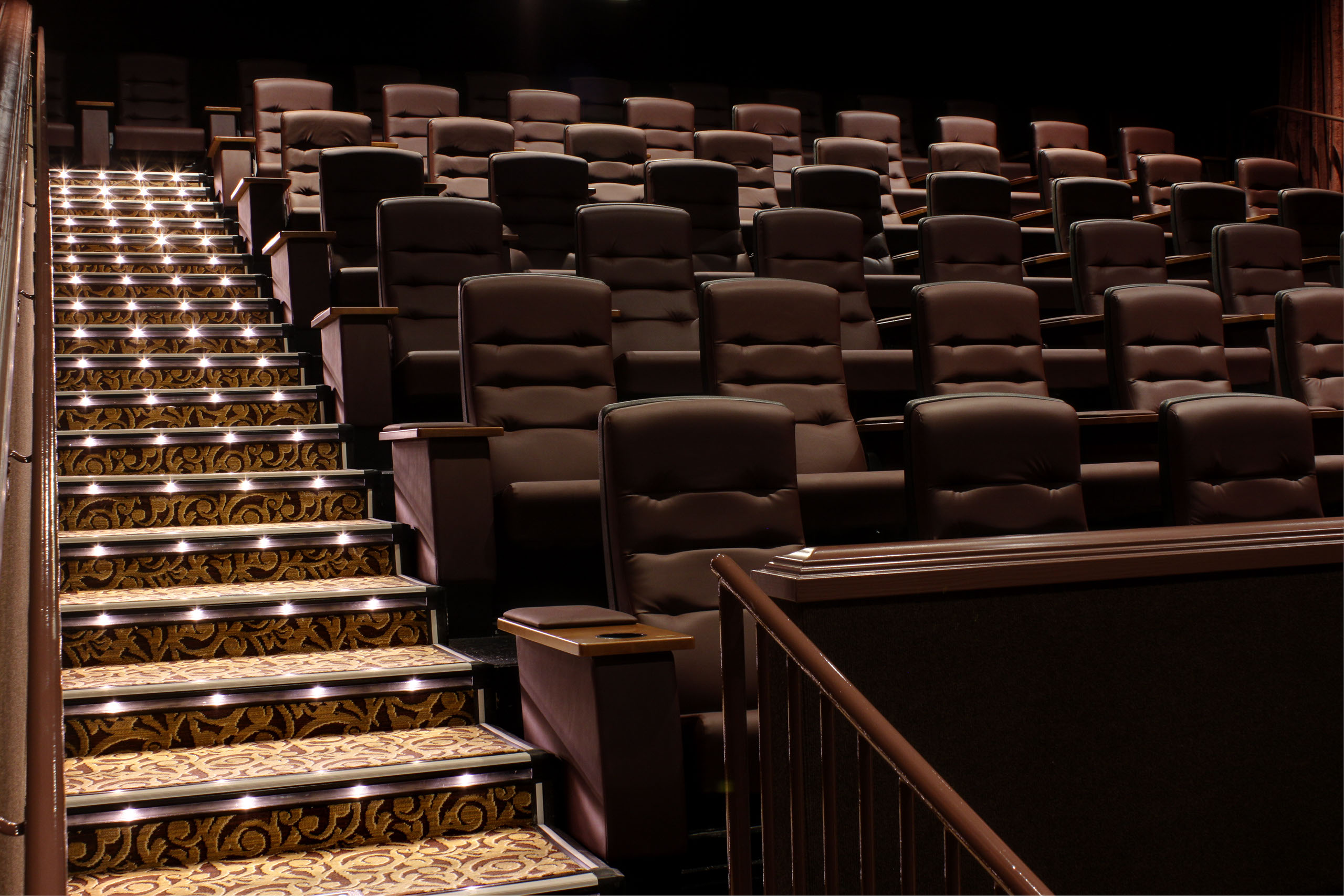 Auditorium Step Lighting